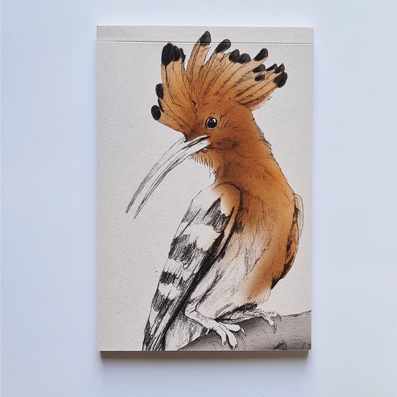 Lined pocket book - Hoopoe