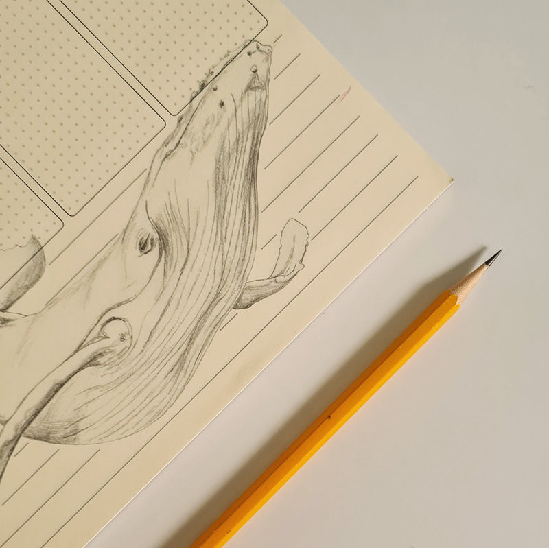 תכנון שבועי