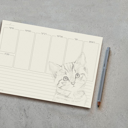 תכנון שבועי