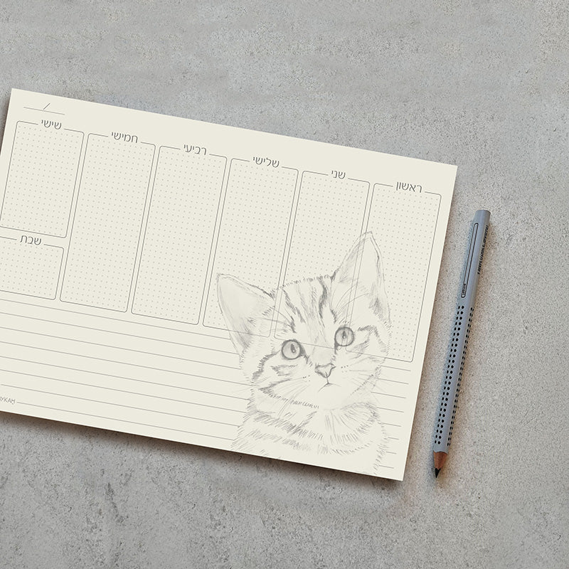 תכנון שבועי