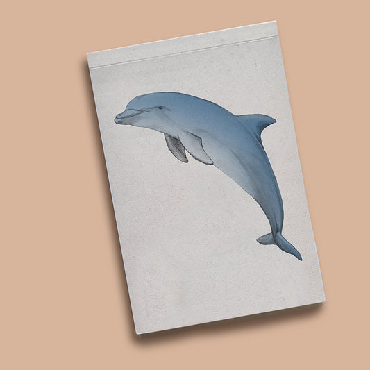 פנקס כיס דולפין