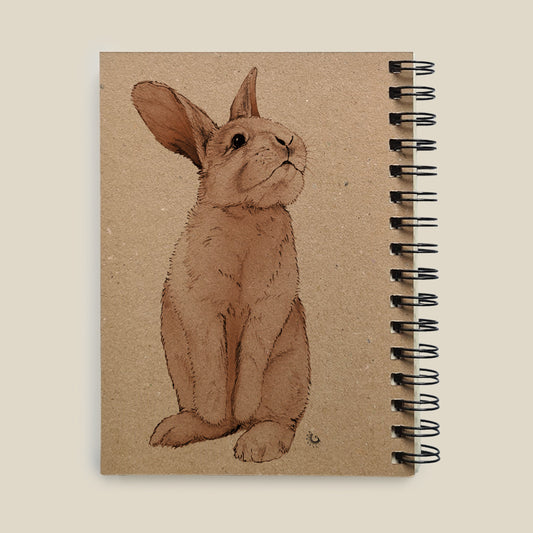 מחברת ציור A5 - ארנב