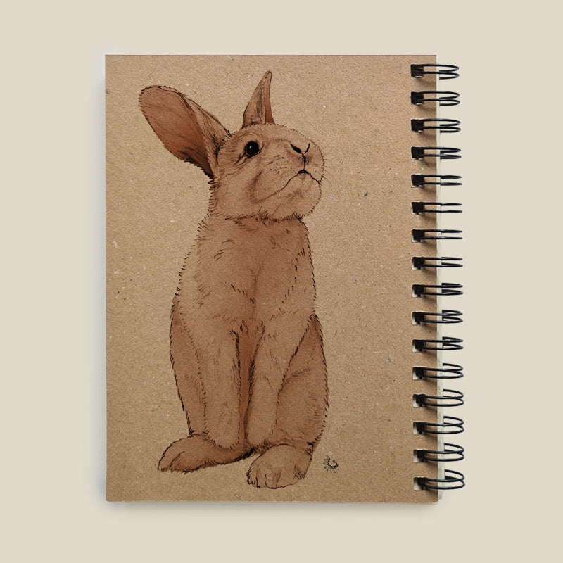 3 drawing notebooks set