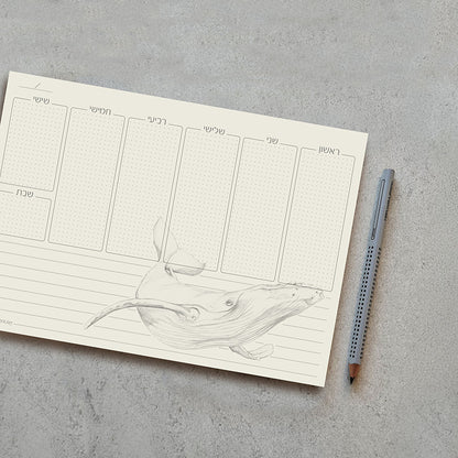 תכנון שבועי