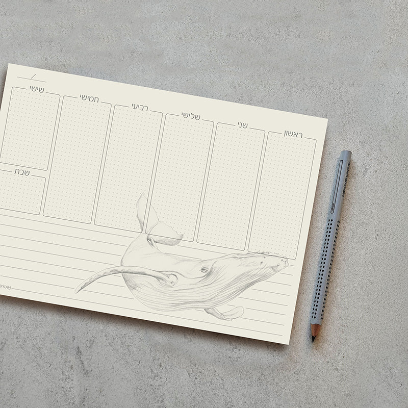 תכנון שבועי