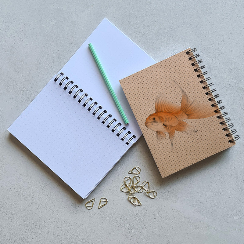 מחברת נקודות דג