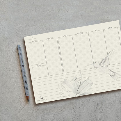 תכנון שבועי